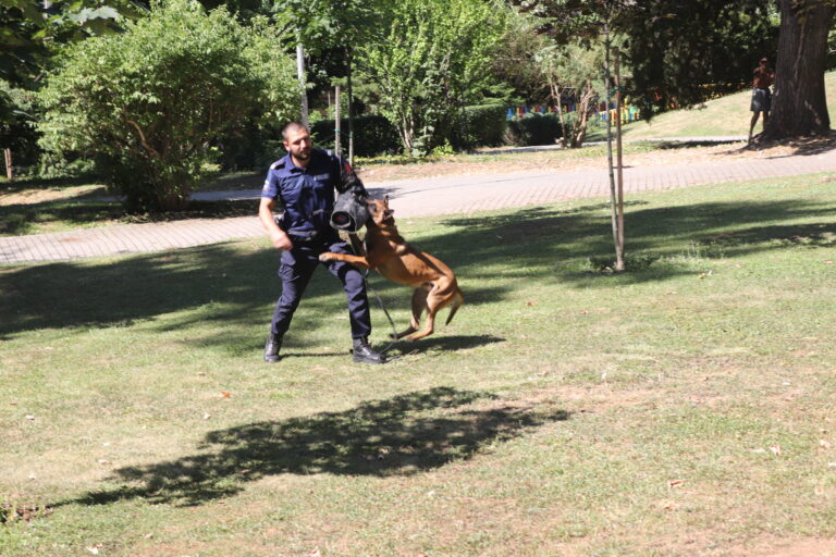 Полицаи показаха как се снемат пръстови отпечатъци и как се залавя престъпник