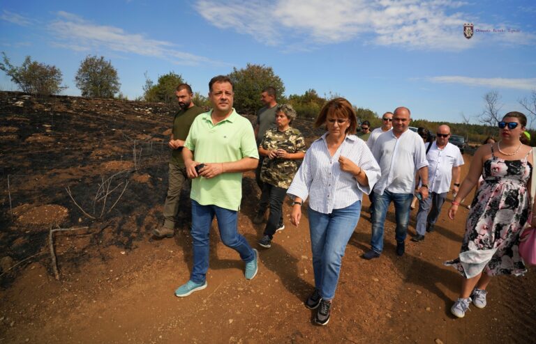 Залесяването на Гарга баир започва още тази есен
