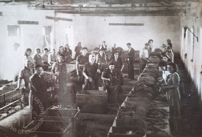 В Горнооряховско са отглеждали тютюн до неотдавна