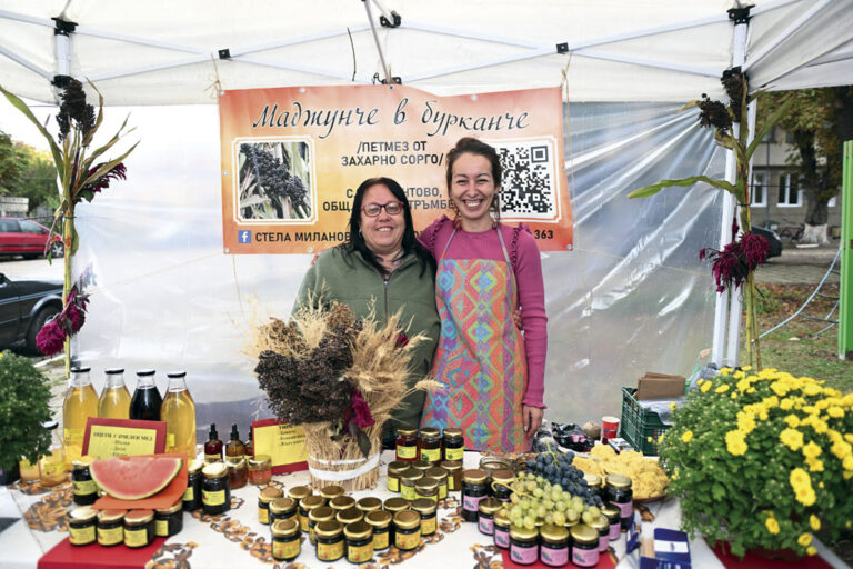 Маджун и сладка от глухарчета, магарешки бодил и борови връхчета с мащерка опитаха гостите на Празника на захарната метла в Стрелец