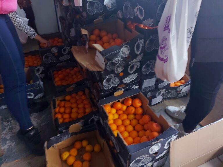 Раздадоха безплатно 600 кг мандарини само за 23 минути!