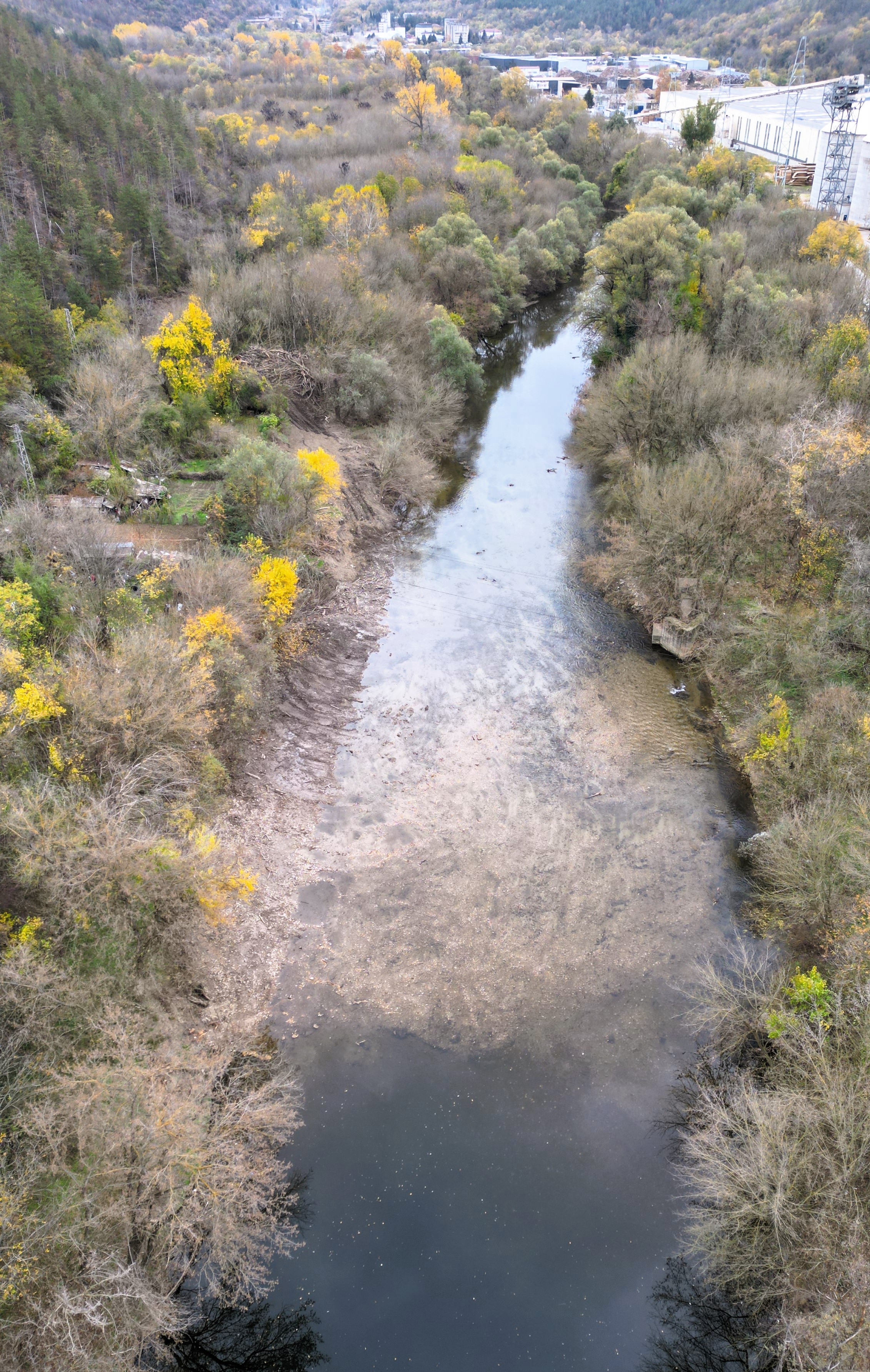 Общество | Изчистено е голямо струпване на дървета в коритото на Янтра край кв. „Чолаковци“