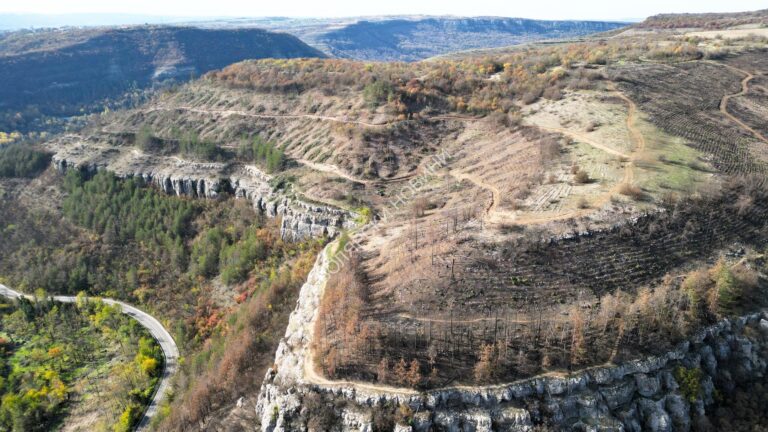 Великотърновци откликнаха на призива за залесяването на местността „Гарга баир“