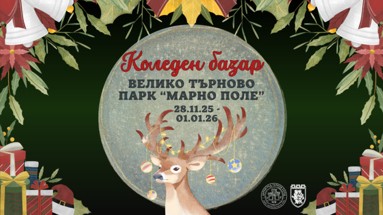 Веселин Маринов с празничен концерт на Коледния базар