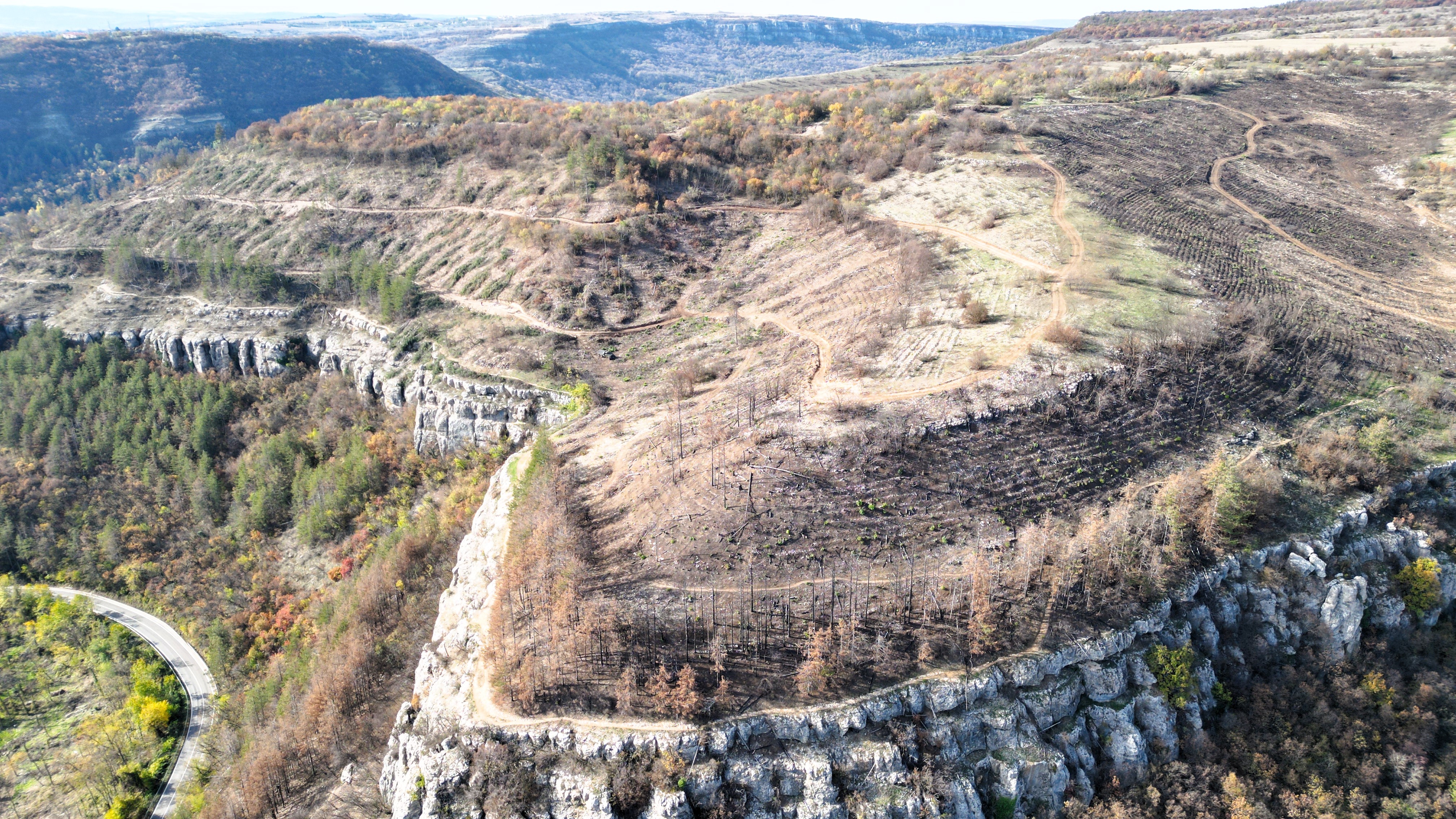 Горещи новини | Великотърновци откликнаха на призива за залесяването на местността „Гарга баир“