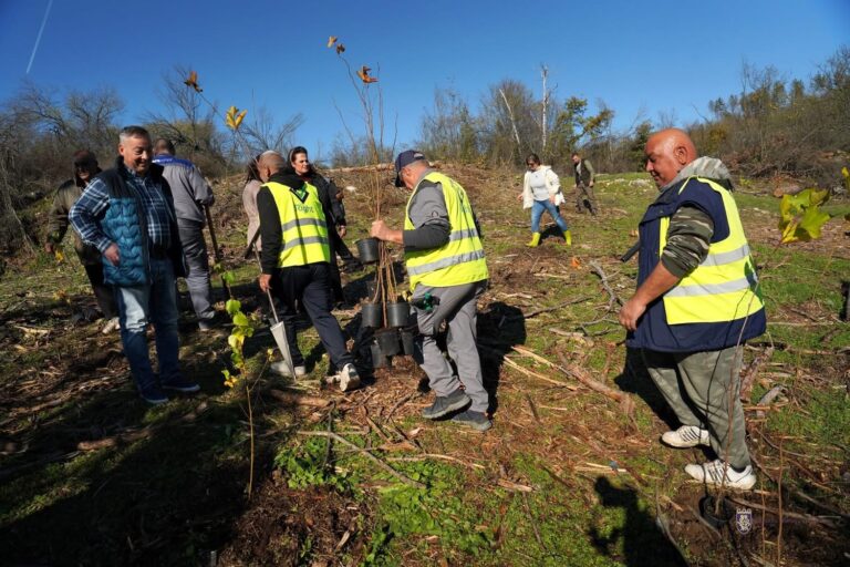 Кметът Панов и „Джуниър бенд“ дадоха старт на новата гора на „Гарга баир“