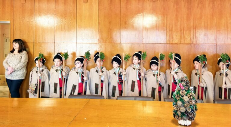 Коледарчета и снежинки посетиха Община Елена