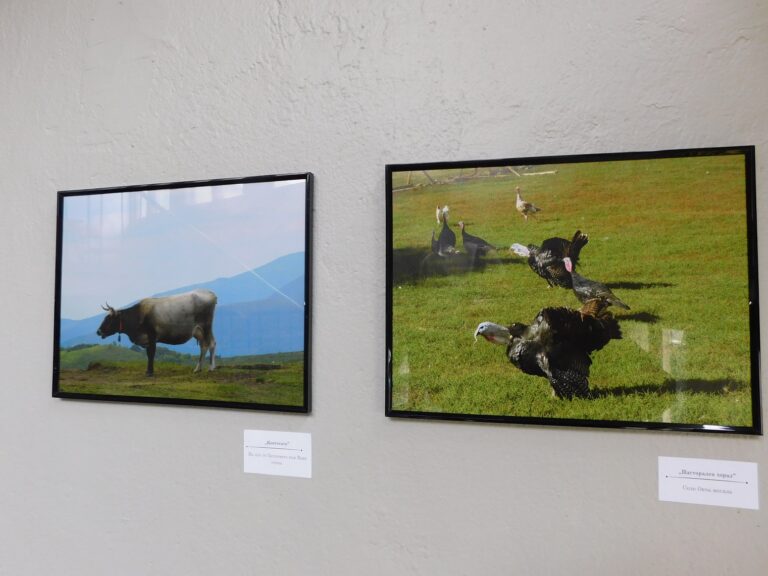 Фотоизложба „Николай Колев Gold“ откри великотърновски ерудит