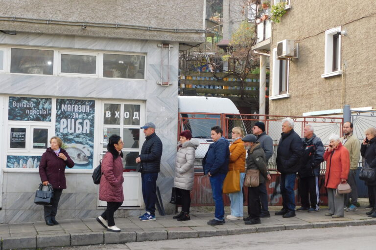 Шаранът за Никулден  на цени от 9 до 60 лв.