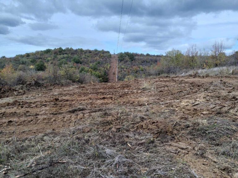 Общество | Премахнаха 3404 дървета покрай далекопроводите