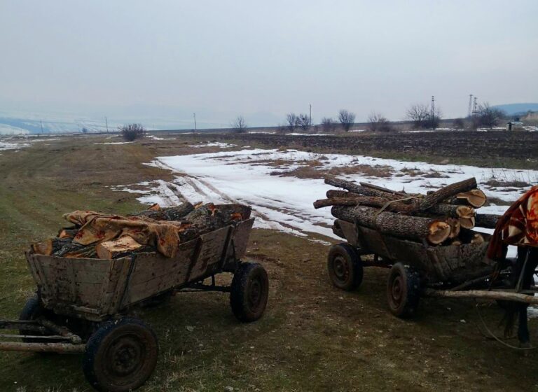 Общество | Над 25 000 проверки в горите на Централна Северна България през 2025 г.